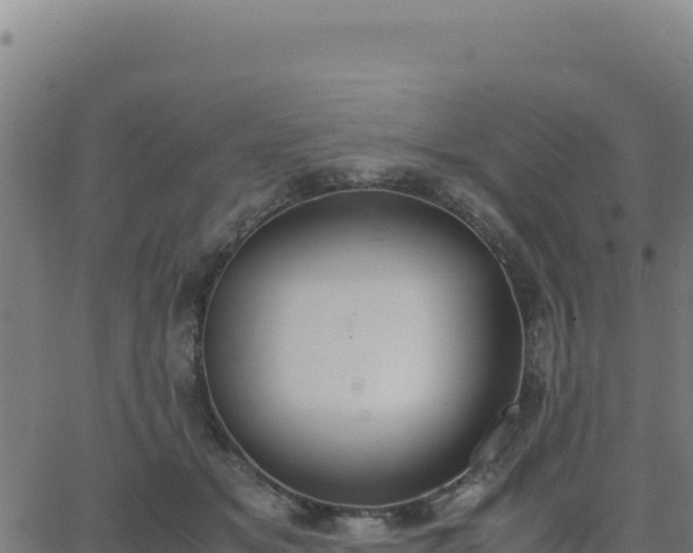 X0000062850509200601201707