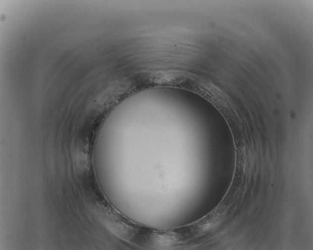 X0000062850510200601201707