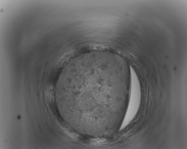 X0000062850511200601201707