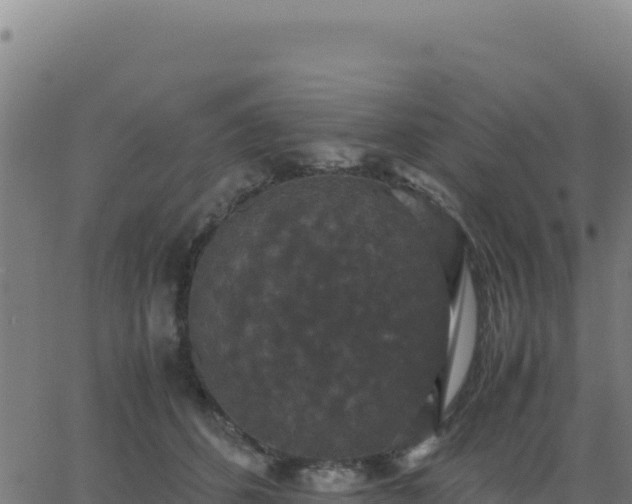 X0000062850512200601201707