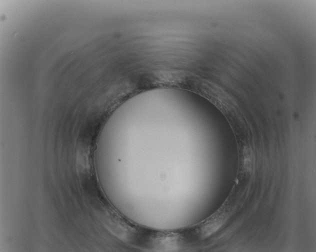 X0000062850514200601201707