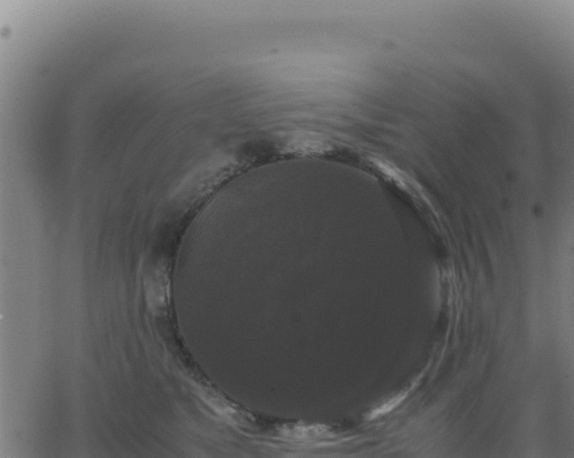 X0000062850517200601201706