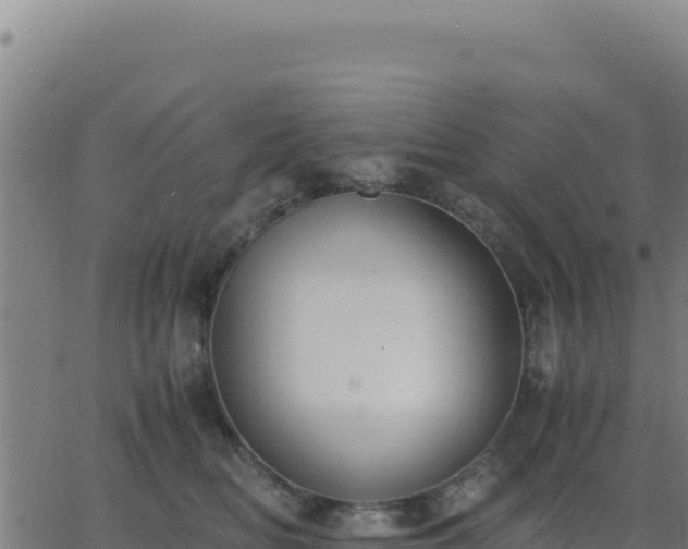 X0000062850518200601201706