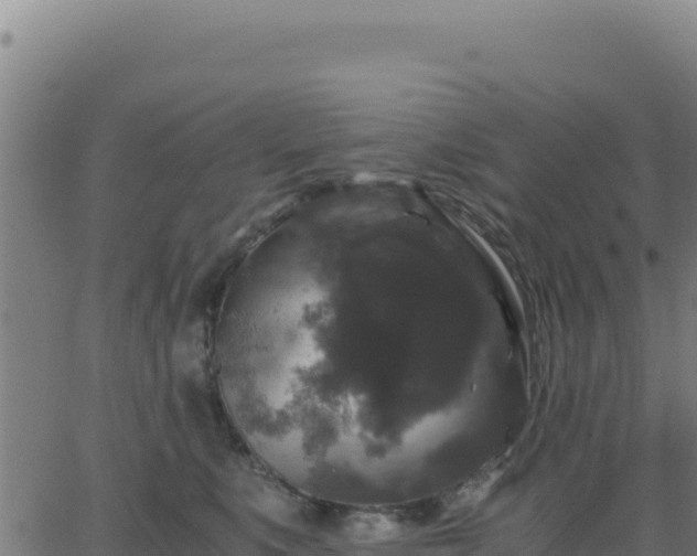 X0000062850519200601201706