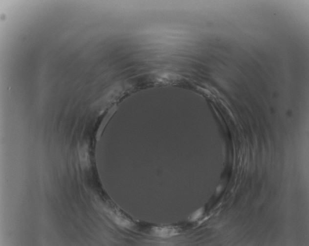 X0000062850520200601201706