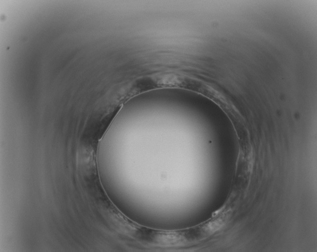 X0000062850521200601201706