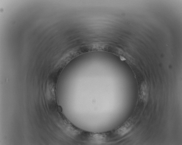 X0000062850522200601201706