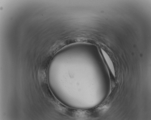 X0000062850523200601201706