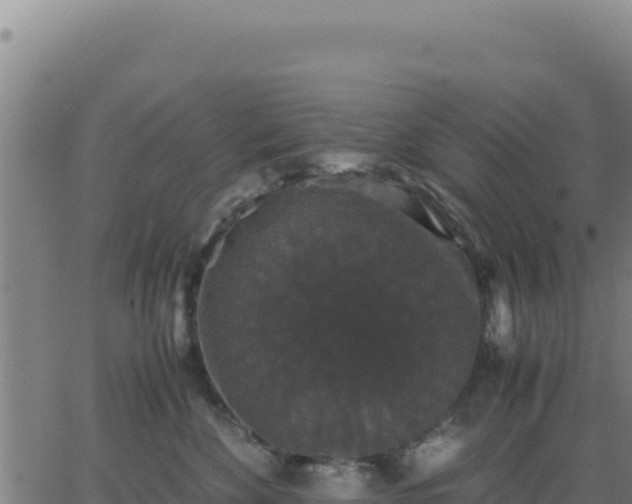 X0000062850524200601201706