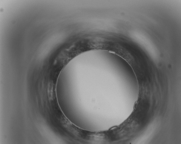 X0000062850525200601201706