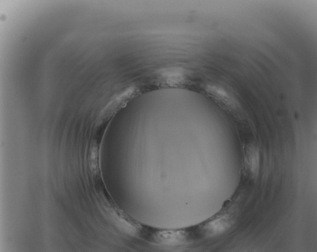 X0000062850526200601201706