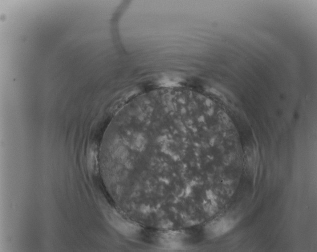 X0000062850527200601201706