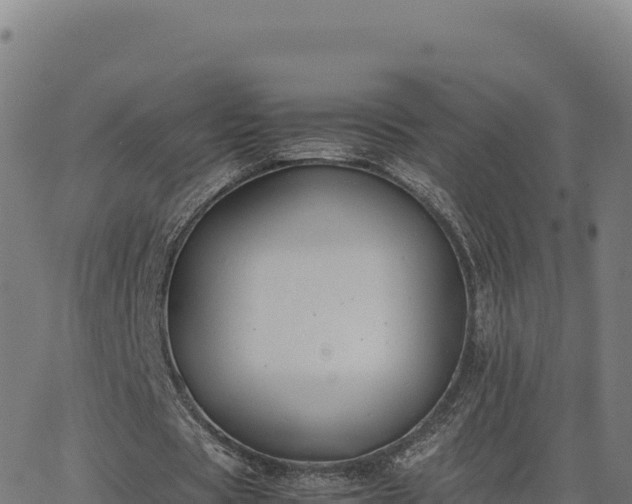 X0000062850529200601201705