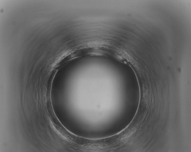 X0000062850530200601201706