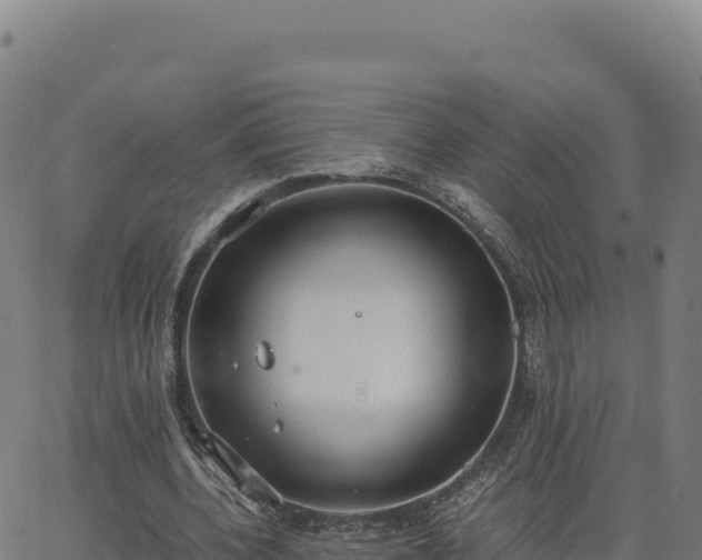 X0000062850532200601201706