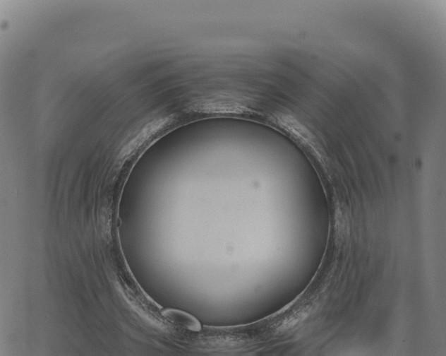 X0000062850533200601201706