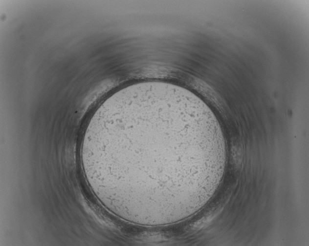 X0000062850534200601201706