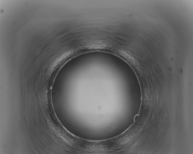 X0000062850535200601201706