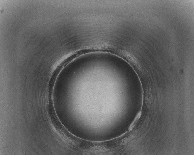 X0000062850536200601201706