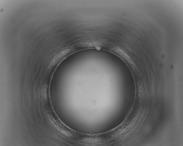 X0000062850537200601201706