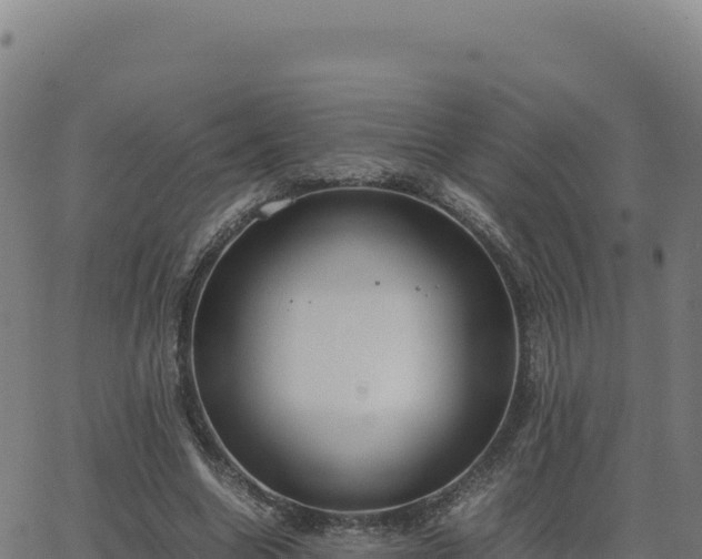 X0000062850538200601201706