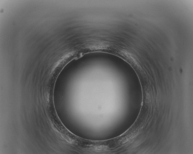 X0000062850539200601201706