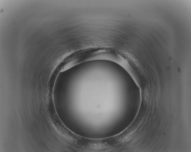 X0000062850540200601201706