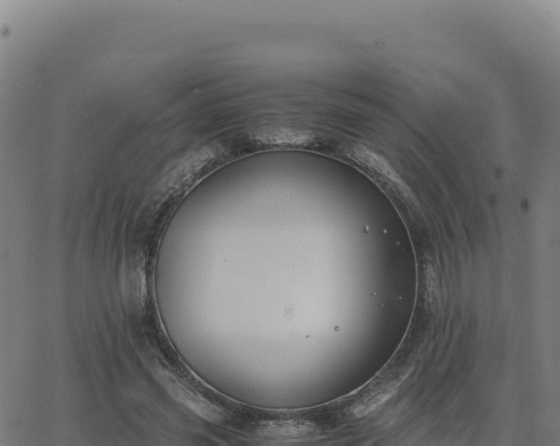 X0000062850541200601201706