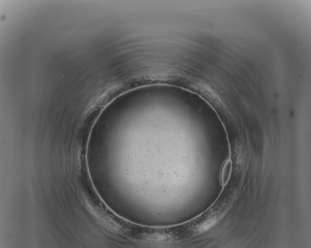 X0000062850542200601201706