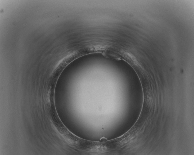 X0000062850543200601201706