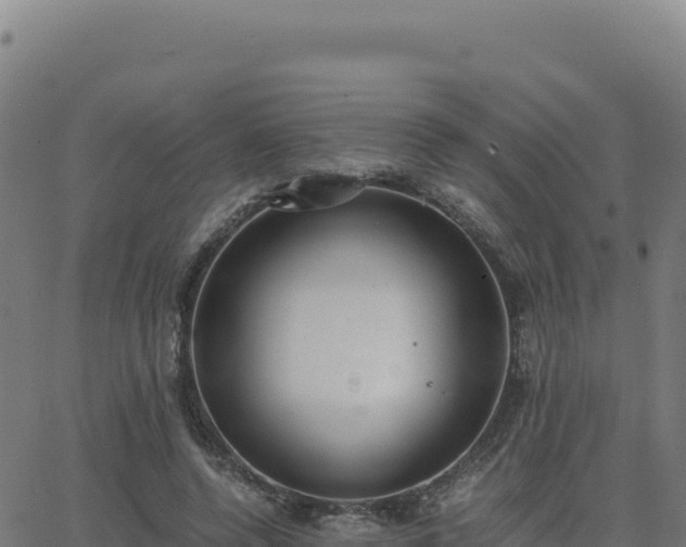 X0000062850544200601201706