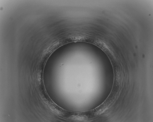 X0000062850545200601201706