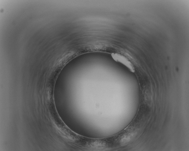 X0000062850546200601201706