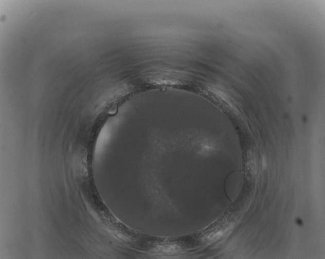 X0000062850547200601201706