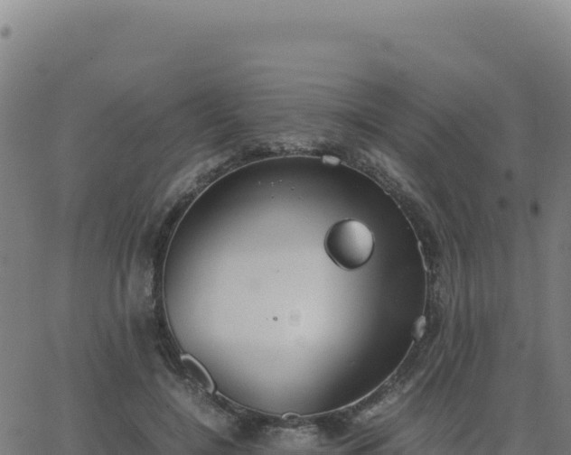 X0000062850548200601201706