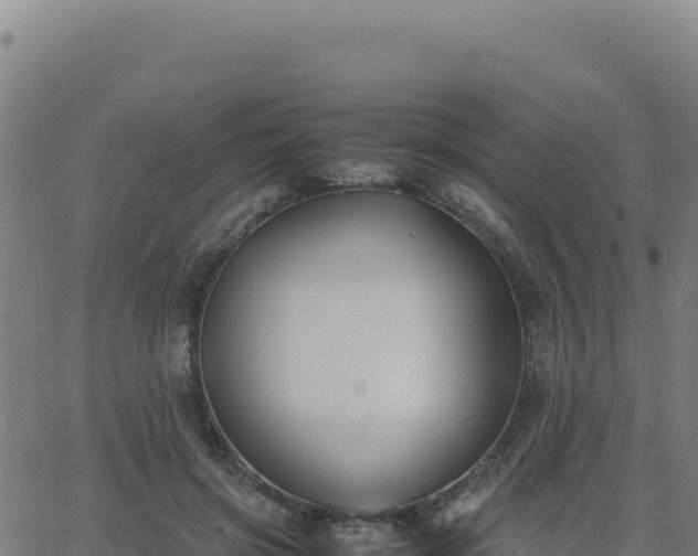 X0000062850549200601201706