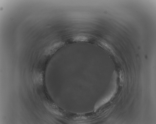 X0000062850551200601201706