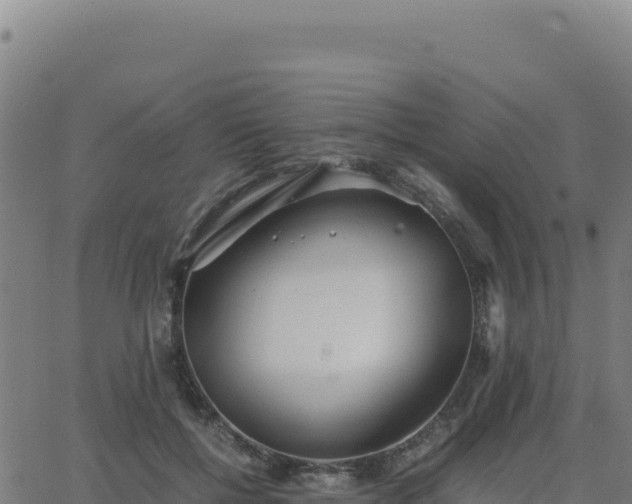 X0000062850552200601201706