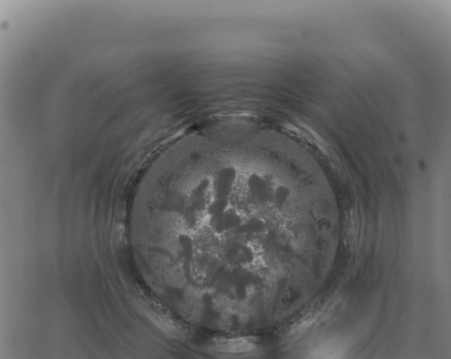 X0000062850553200601201706