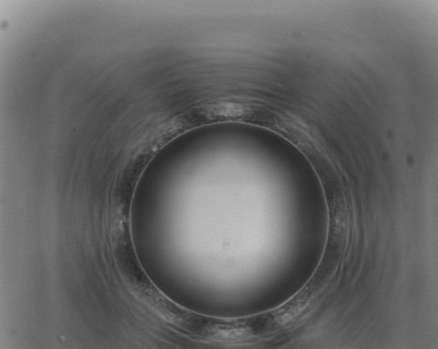 X0000062850555200601201706