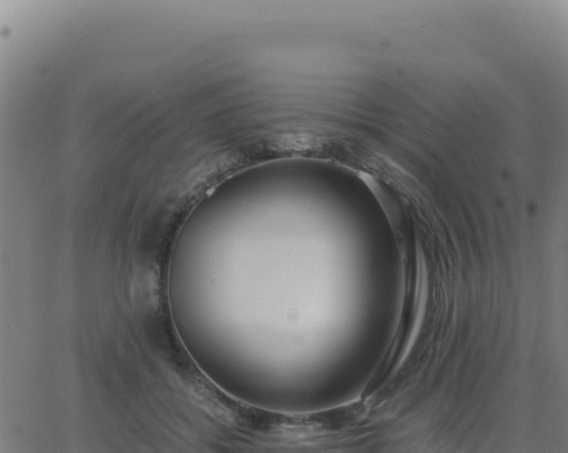 X0000062850556200601201706