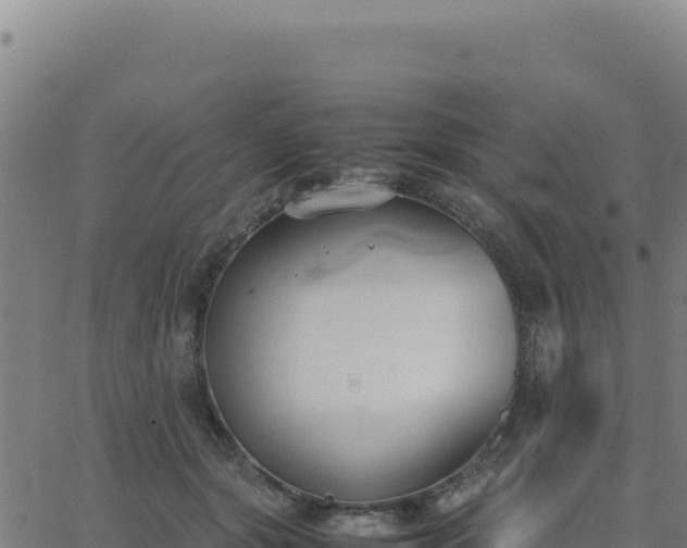 X0000062850557200601201706