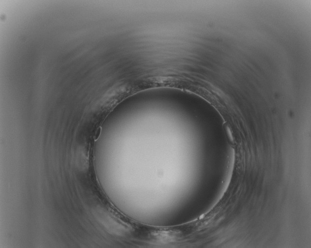 X0000062850558200601201706