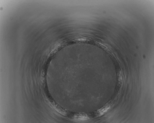 X0000062850559200601201706