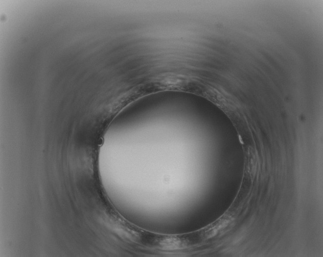 X0000062850562200601201706