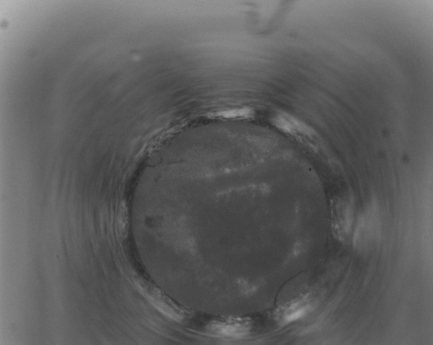 X0000062850563200601201706