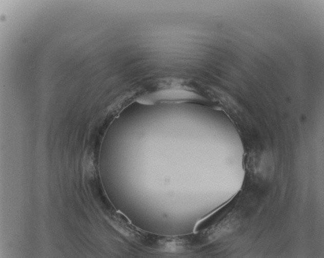 X0000062850564200601201706