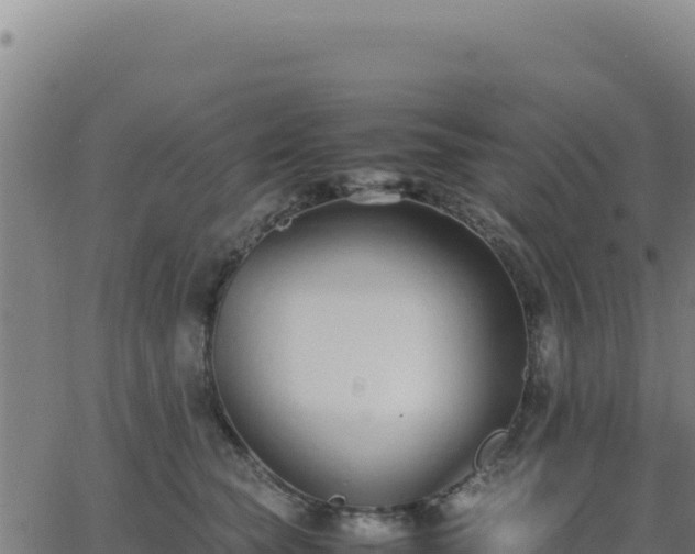 X0000062850565200601201706