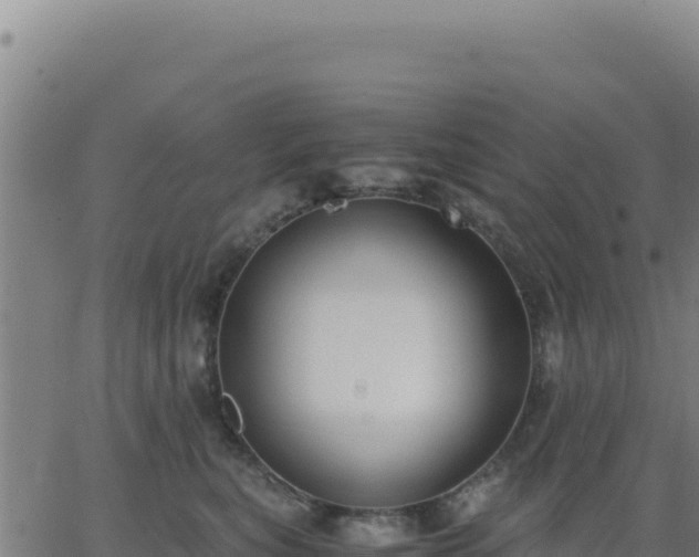 X0000062850567200601201706