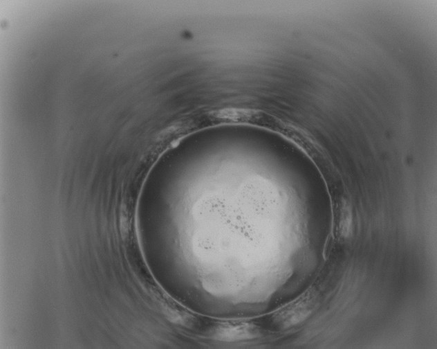 X0000062850569200601201706